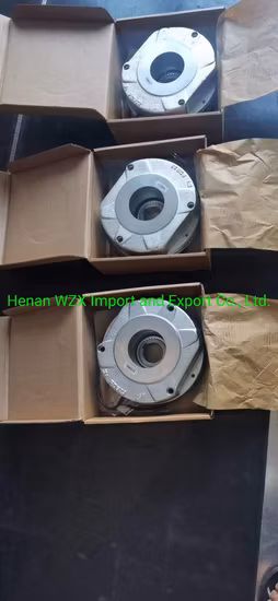 Crane Motor, Brake, Brake Pad, Hook, Hoist and So on European Crane Parts